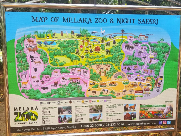 Zoo-Melaka-Night-Safari-7